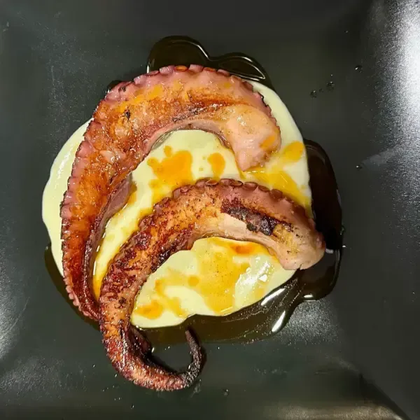 Tentáculos de pulpo a la plancha sobre puré de patatas con salsa.