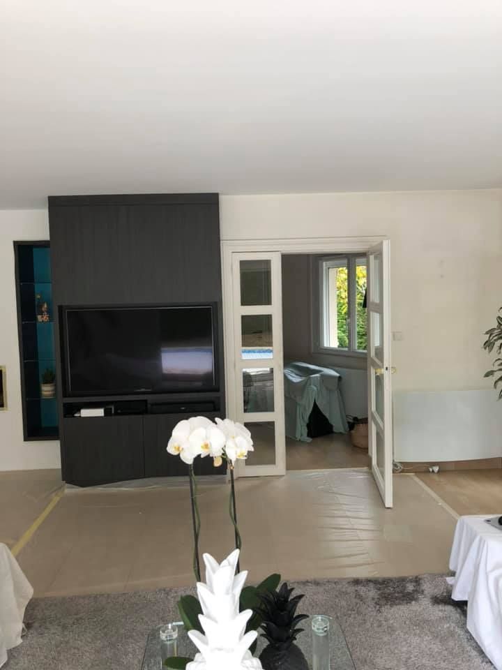 Salon avec télévision sur panneau gris foncé, orchidées au premier plan, porte donnant sur une autre pièce.