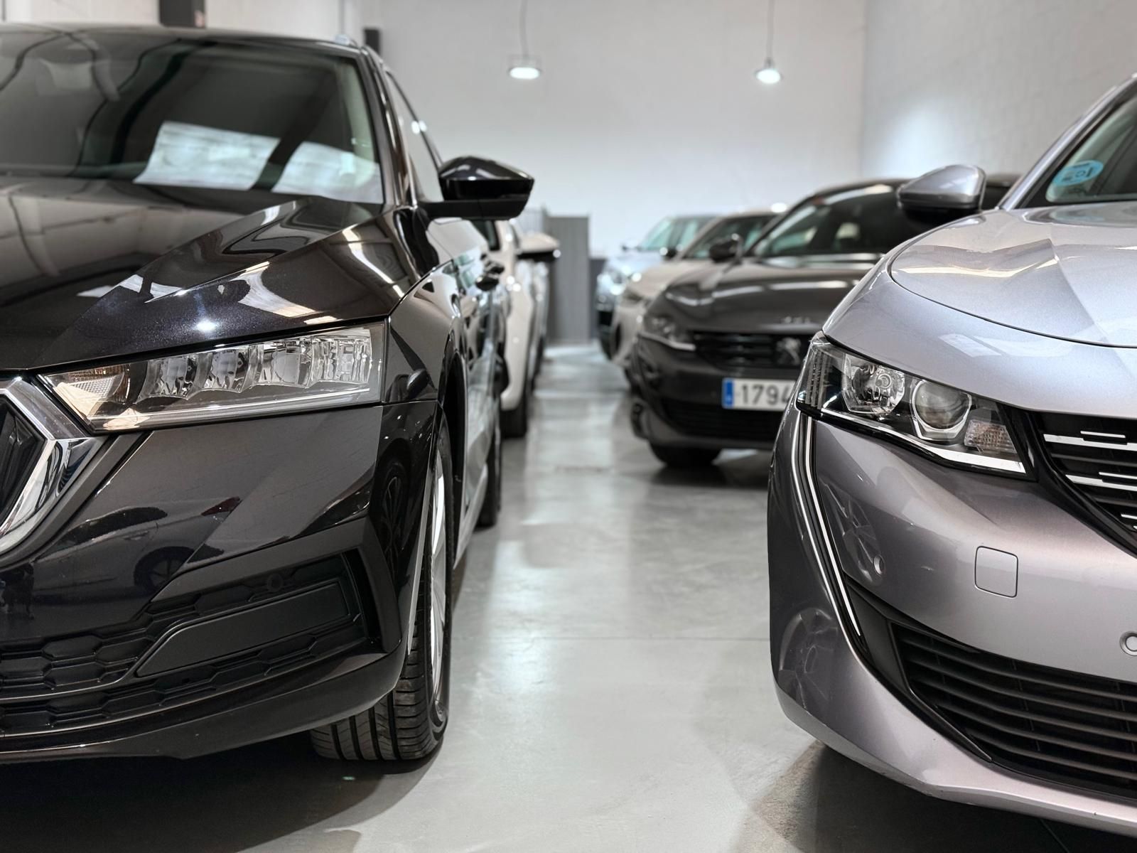 Autos alineados en una sala de exhibición. Los más cercanos son negros y plateados; al fondo, vehículos grises y blancos.