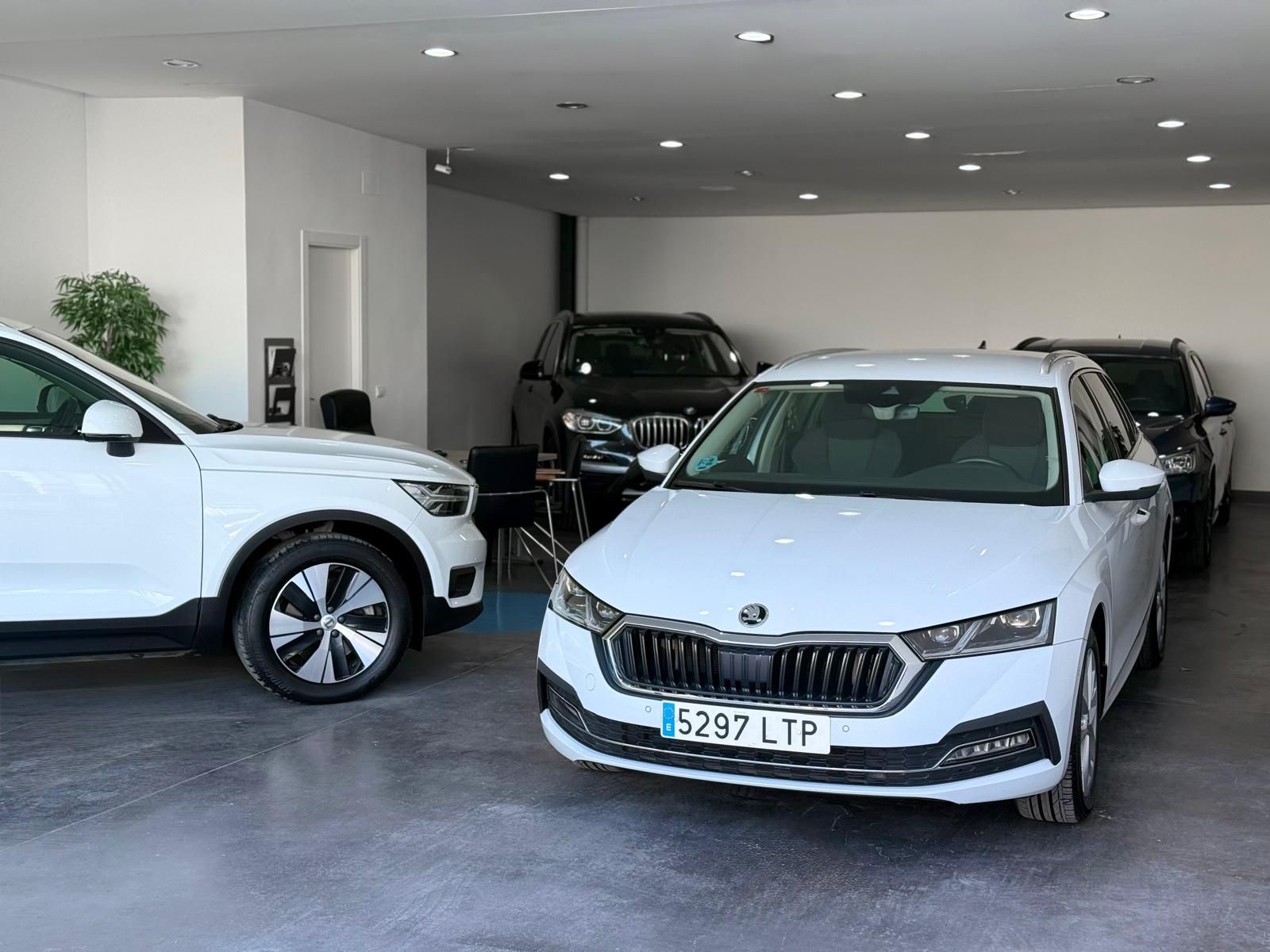 Coches en una sala de exposición: Volvo y Skoda blancos, BMW negro. Interior, iluminación brillante, suelo gris.
