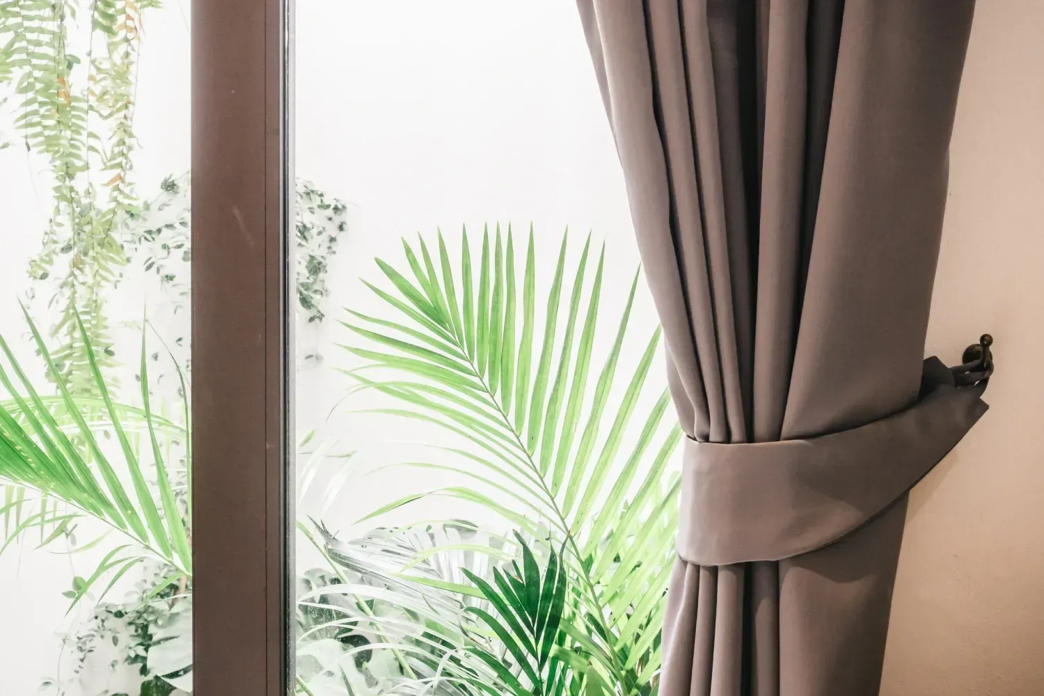 Cortina gris recogida, ventana con vista a hojas de palmera verdes.