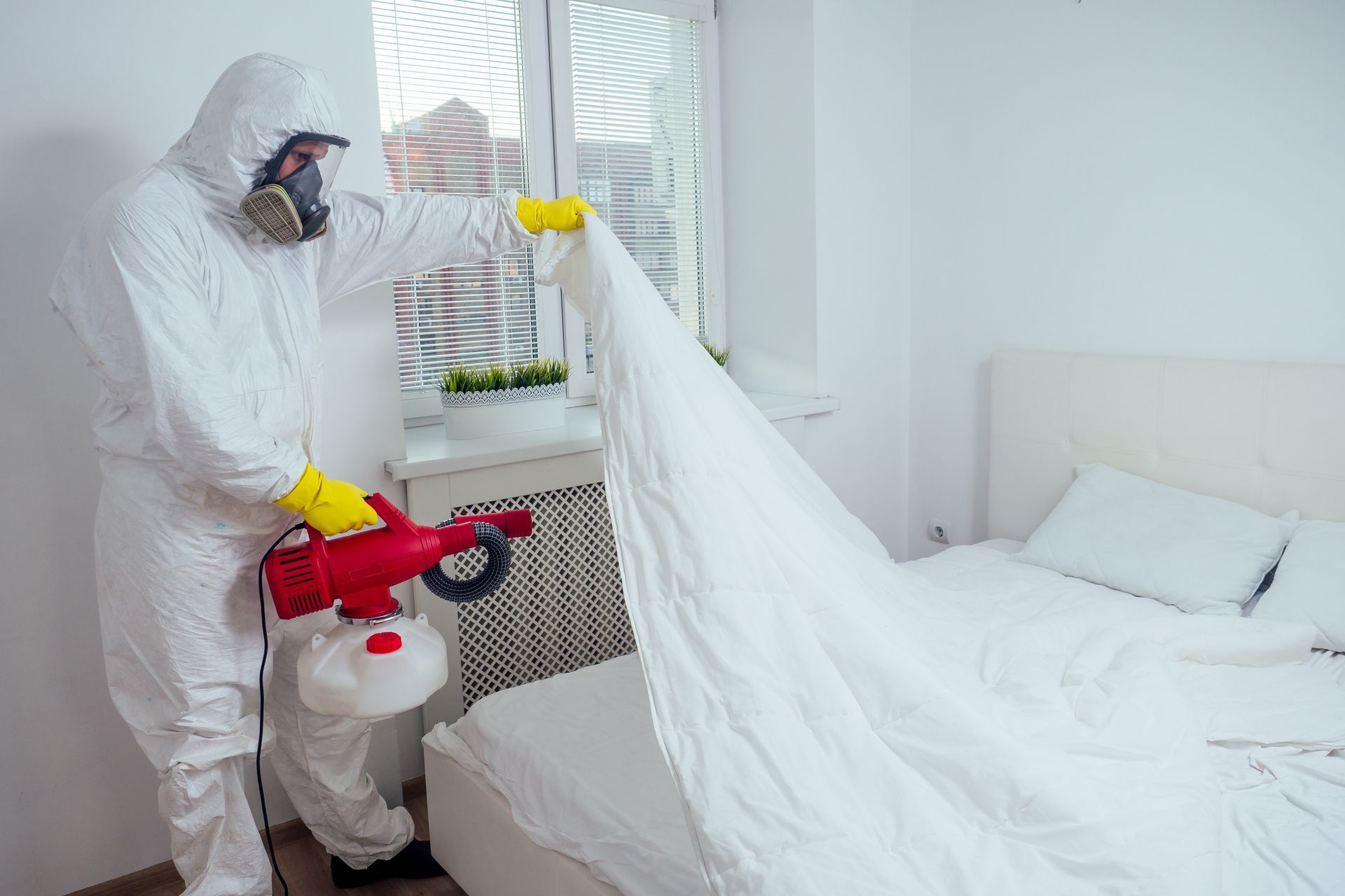 Un agent de lutte antiparasitaire pulvérisant des pesticides dans la chambre