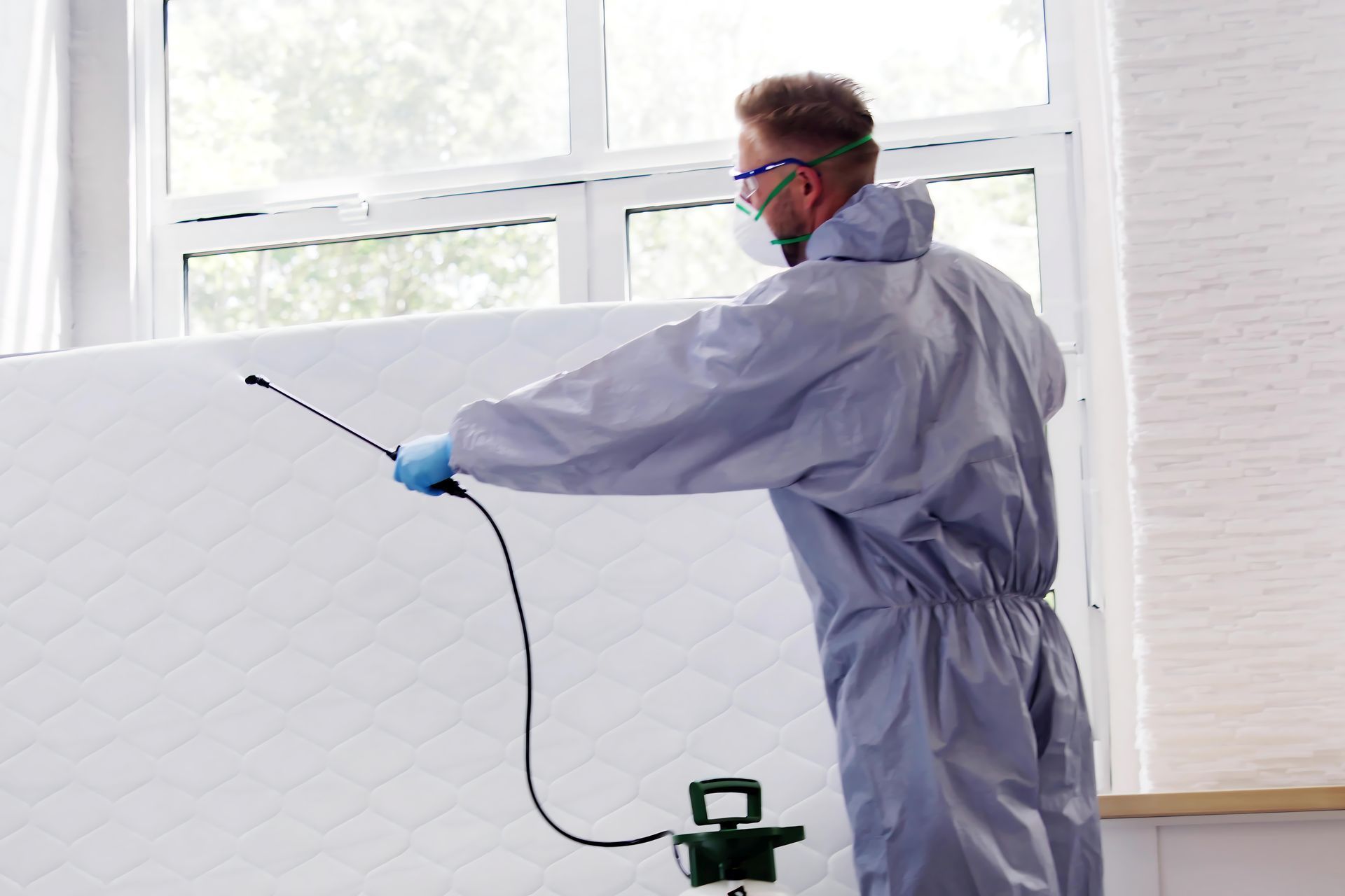 Extermination des punaises de lit sur un matelas