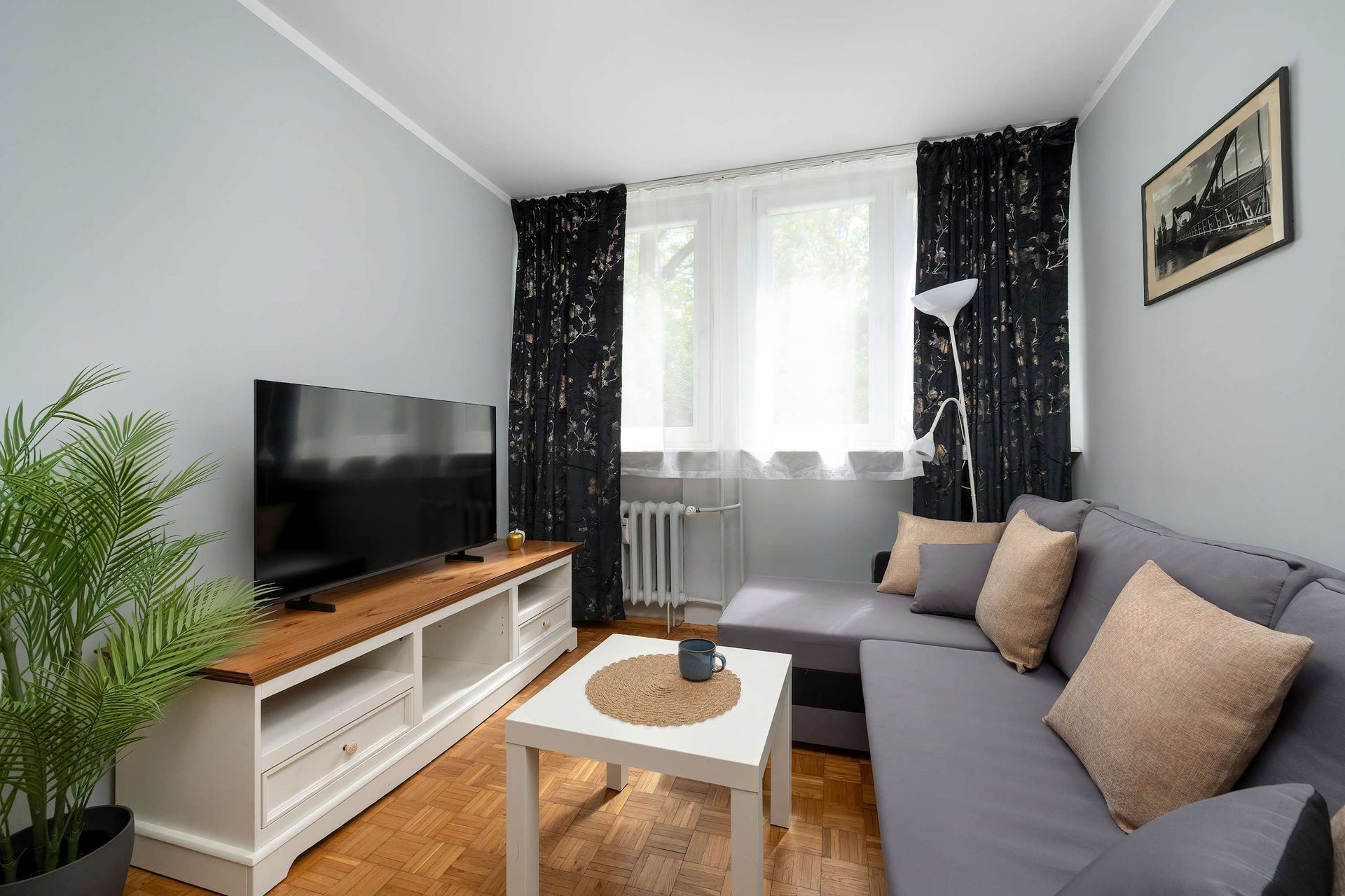 Jasny salon z szarą sofą, telewizorem, białym stolikiem kawowym, rośliną doniczkową i oknem z ciemnymi zasłonami