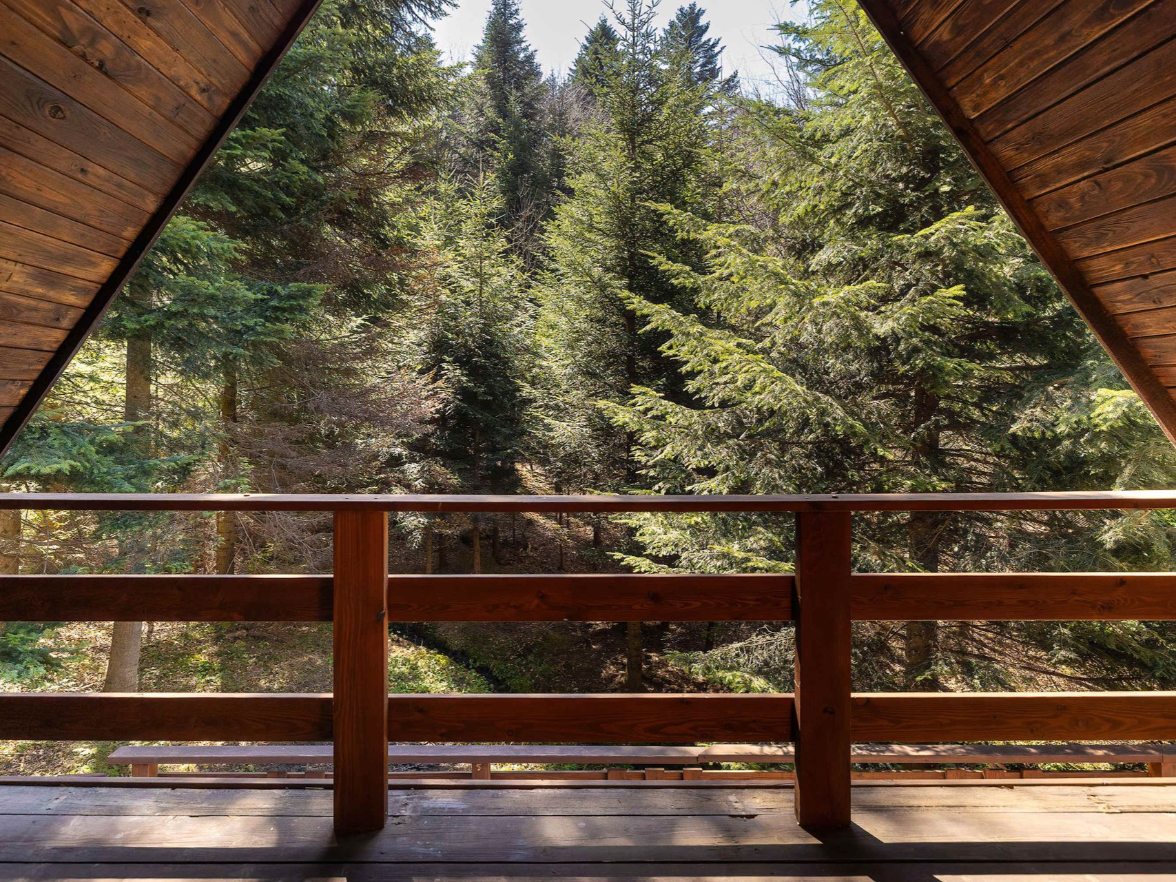 Wooden balcony overlooking a sunlit evergreen forest
