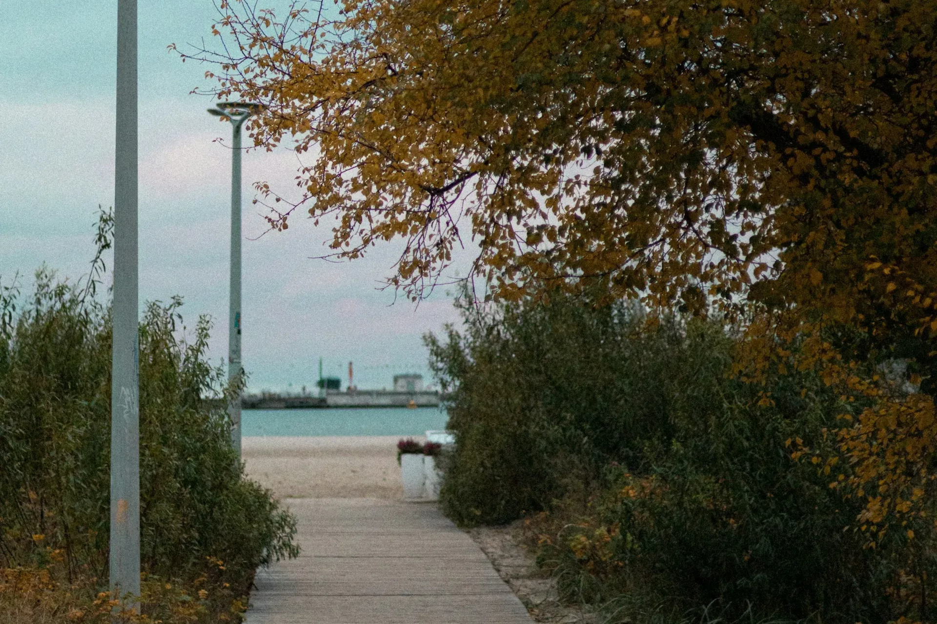 Path to a sandy beach with autumn trees, cloudy sky, and distant buildings.