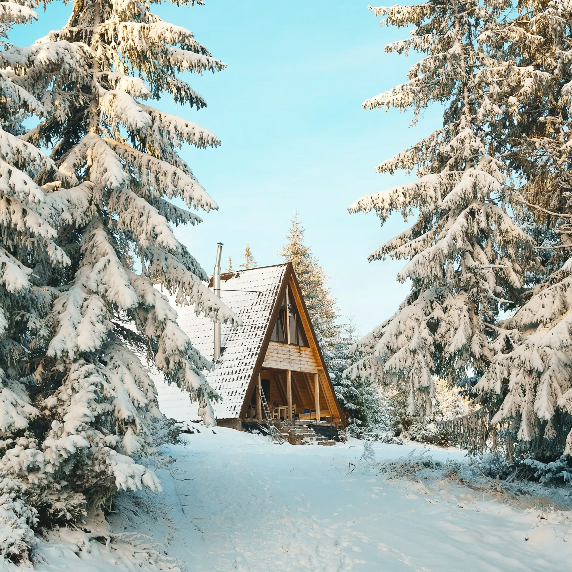Pokryta śniegiem chata w kształcie litery A, schowana pomiędzy ośnieżonymi sosnami pod błękitnym niebem.