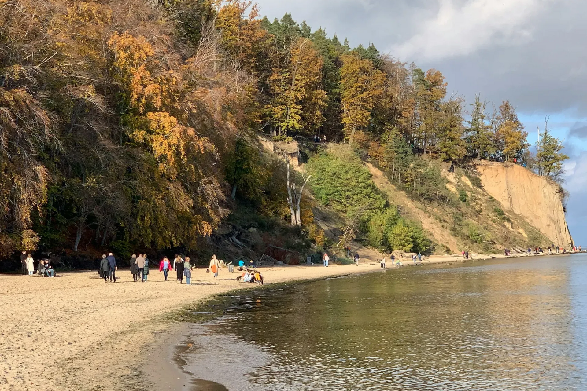 Beach with people walking, cliff with autumn trees, and calm water.