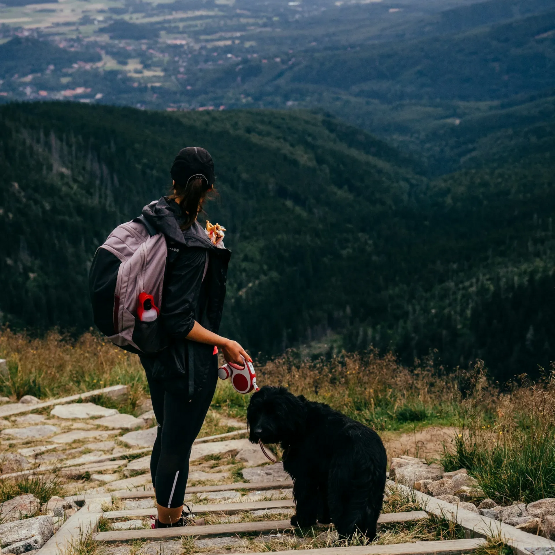 Kobieta i duży czarny pies schodzą po kamiennych schodach w górach, z widokiem na dolinę.