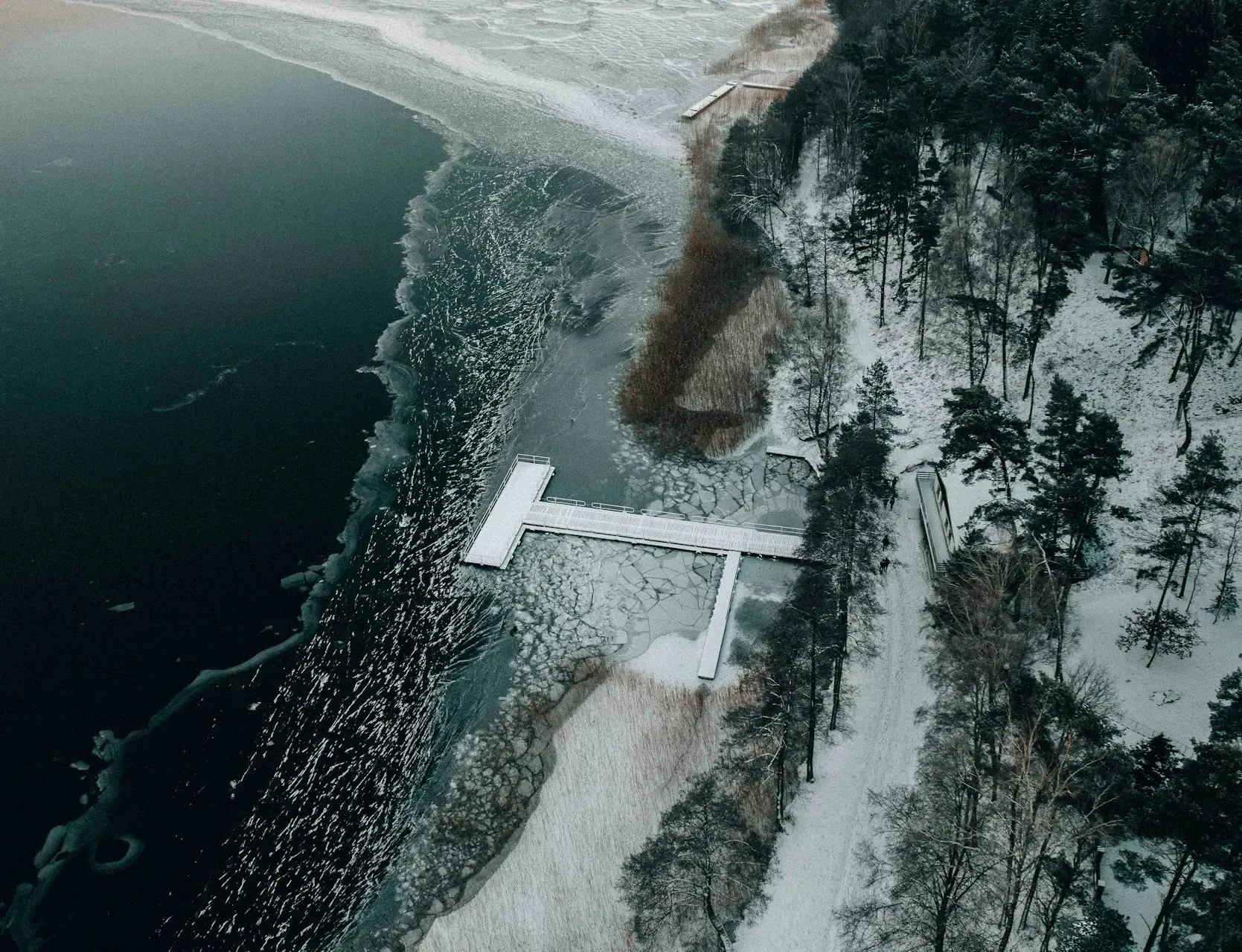 Widok na ośnieżony brzeg Morza Bałtyckiego z białym molo wchodzącym w ciemną wodę, las po prawej stronie.