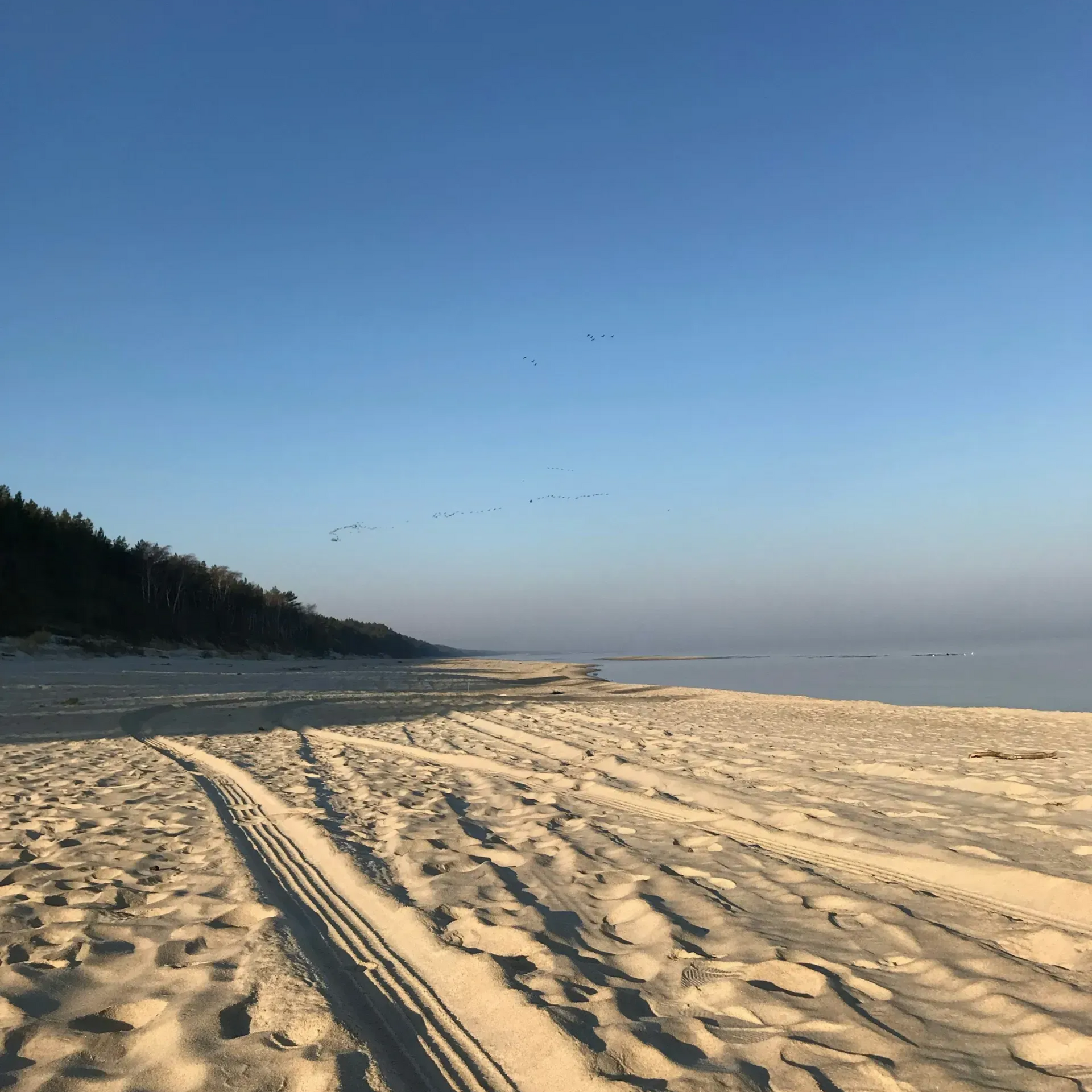 Sandstrand mit Reifenspuren, Wald auf der linken Seite, klarer blauer Himmel, ruhiges Wasser.