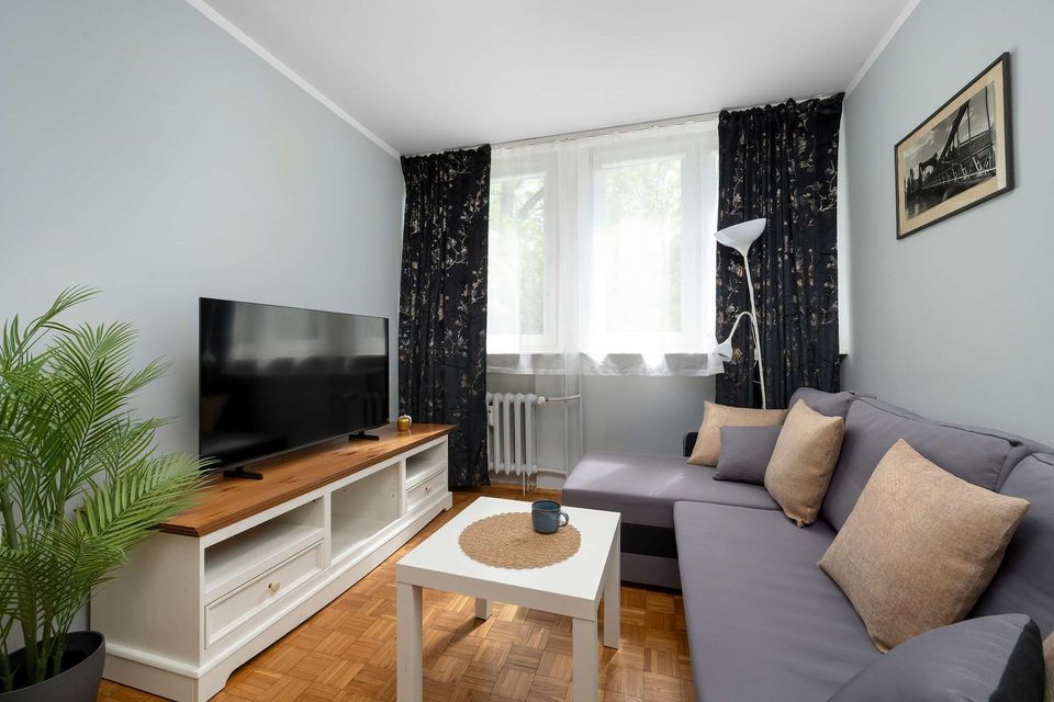 Jasny salon z szarą sofą, telewizorem, białym stolikiem kawowym, rośliną doniczkową i oknem z ciemnymi zasłonami