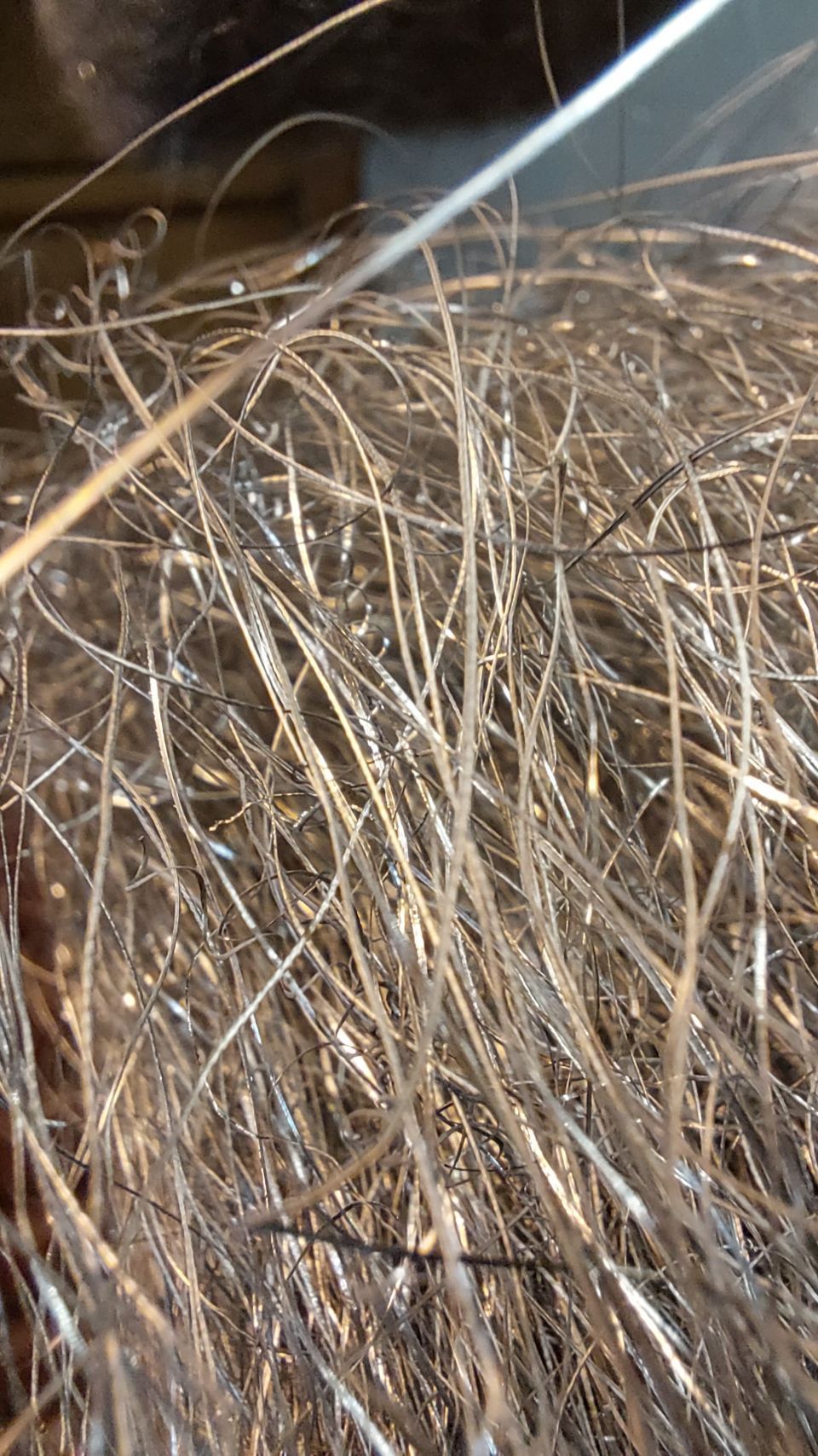 Fäden für Marderschutz von der HTR PROTECT GmbH