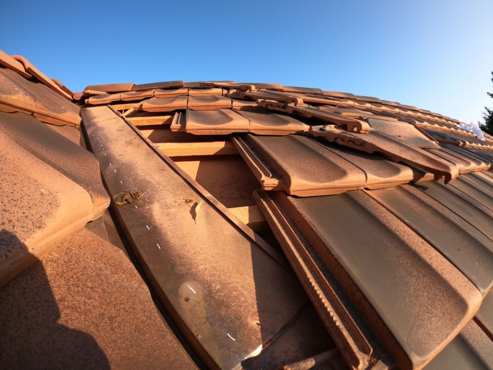 Marderschutz von der HTR PROTECT GmbH auf einem Dach