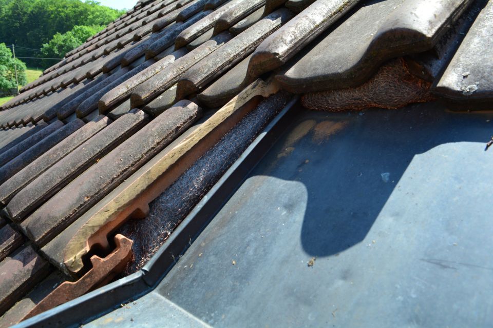 Marderschutz von der HTR PROTECT GmbH auf einem Dach