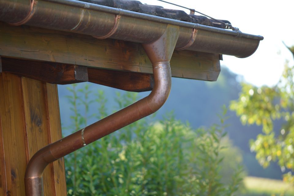 Rinne, Foto von der HTR PROTECT GmbH