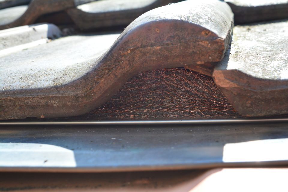 Marderschutz von der HTR PROTECT GmbH