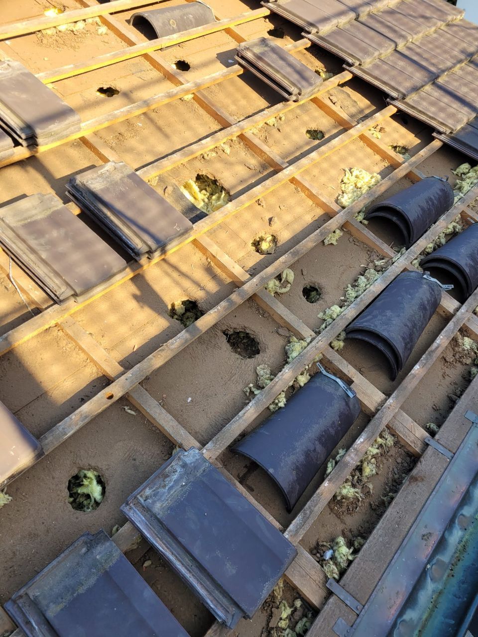 Marderschaden, Foto von der HTR PROTECT GmbH