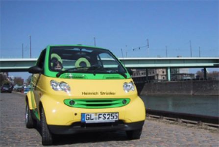 Ein gelb-grünes Auto mit dem Nummernschild gl fs255