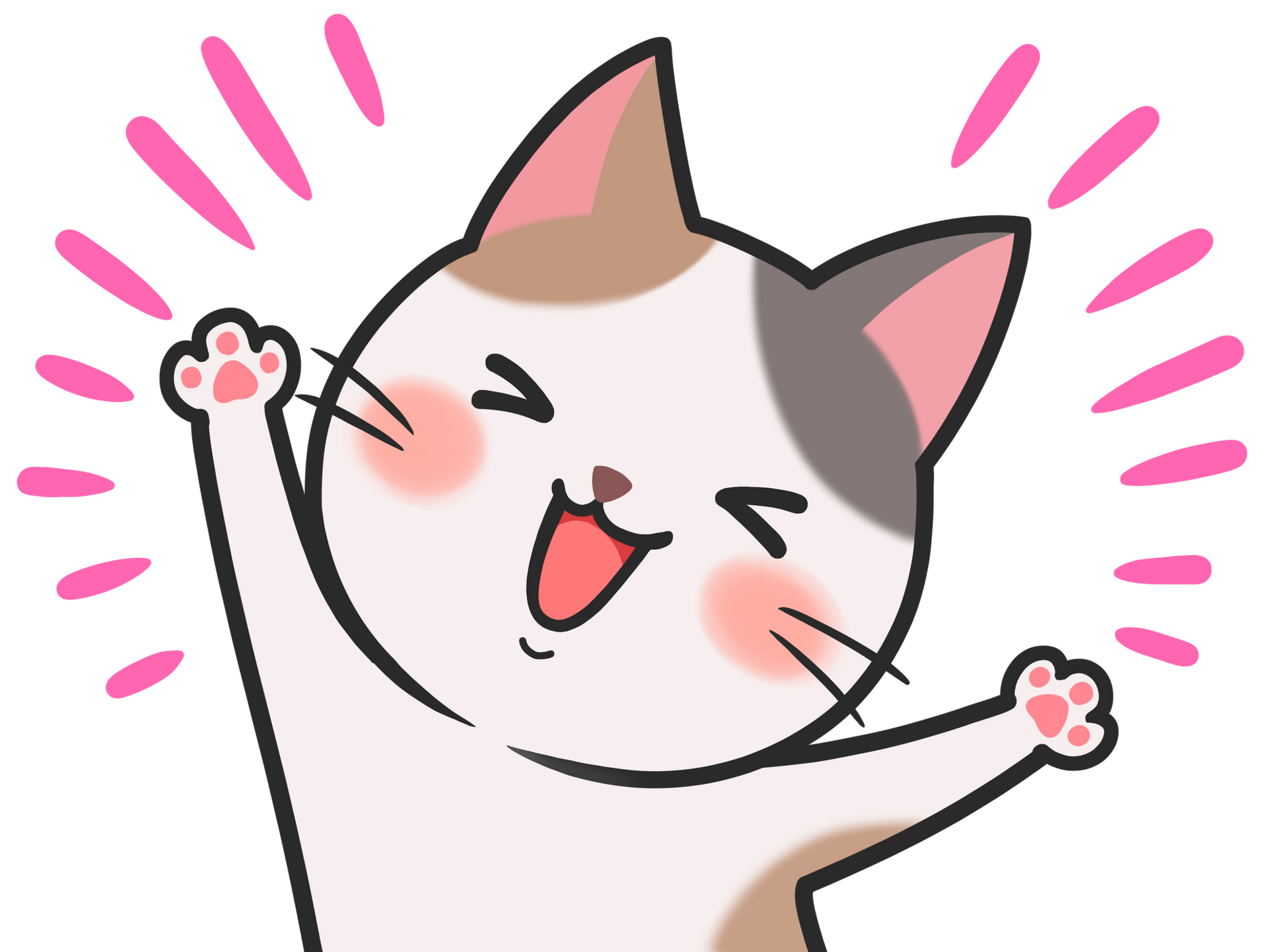 Chaton calico joyeux, les pattes levées, les joues roses et l'air excité.