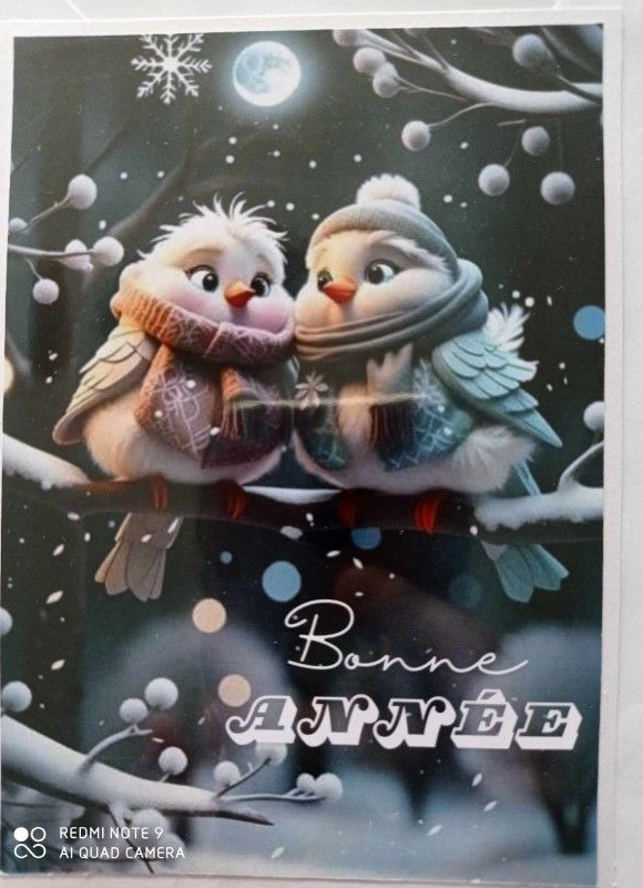 Deux oiseaux de dessin animé portant des écharpes, perchés sur une branche, texte Bonne Année, scène d'hiver.