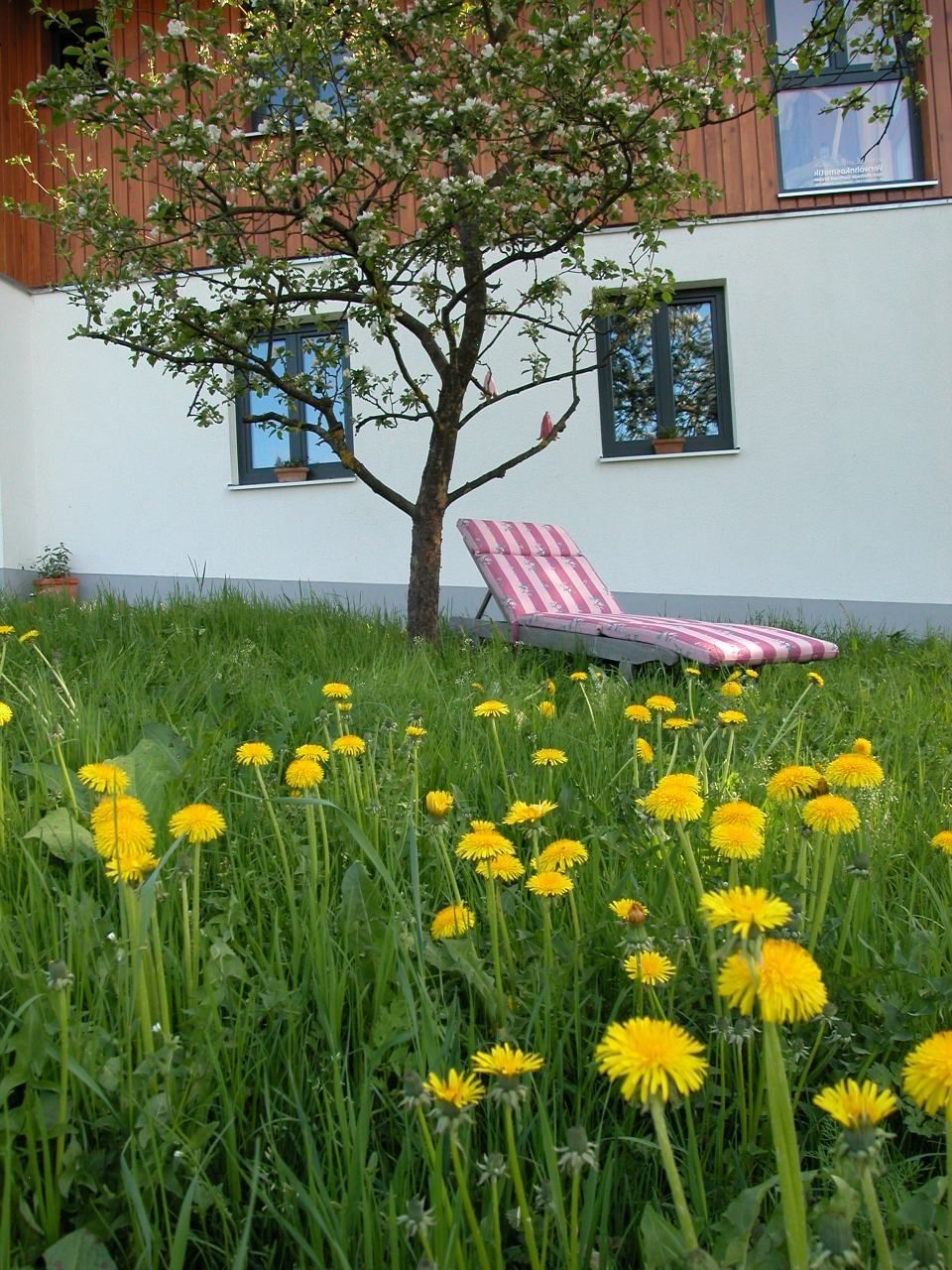 Ein rosa-weiß gestreifter Gartenstuhl steht im Gras. Foto von Eder Christiane Kosmetikstudio