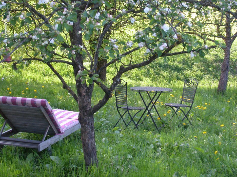 Ein Tisch und Stühle auf einer Rasenfläche unter einem Baum. Foto von Eder Christiane Kosmetikstudio