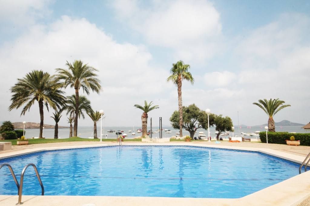 Una gran piscina con palmeras al fondo.