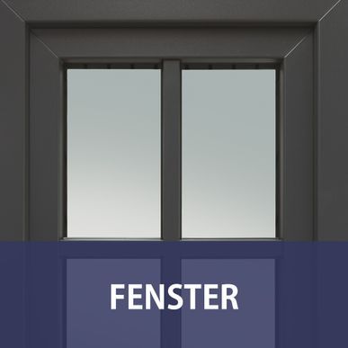 Fenster Schwalb und Werner