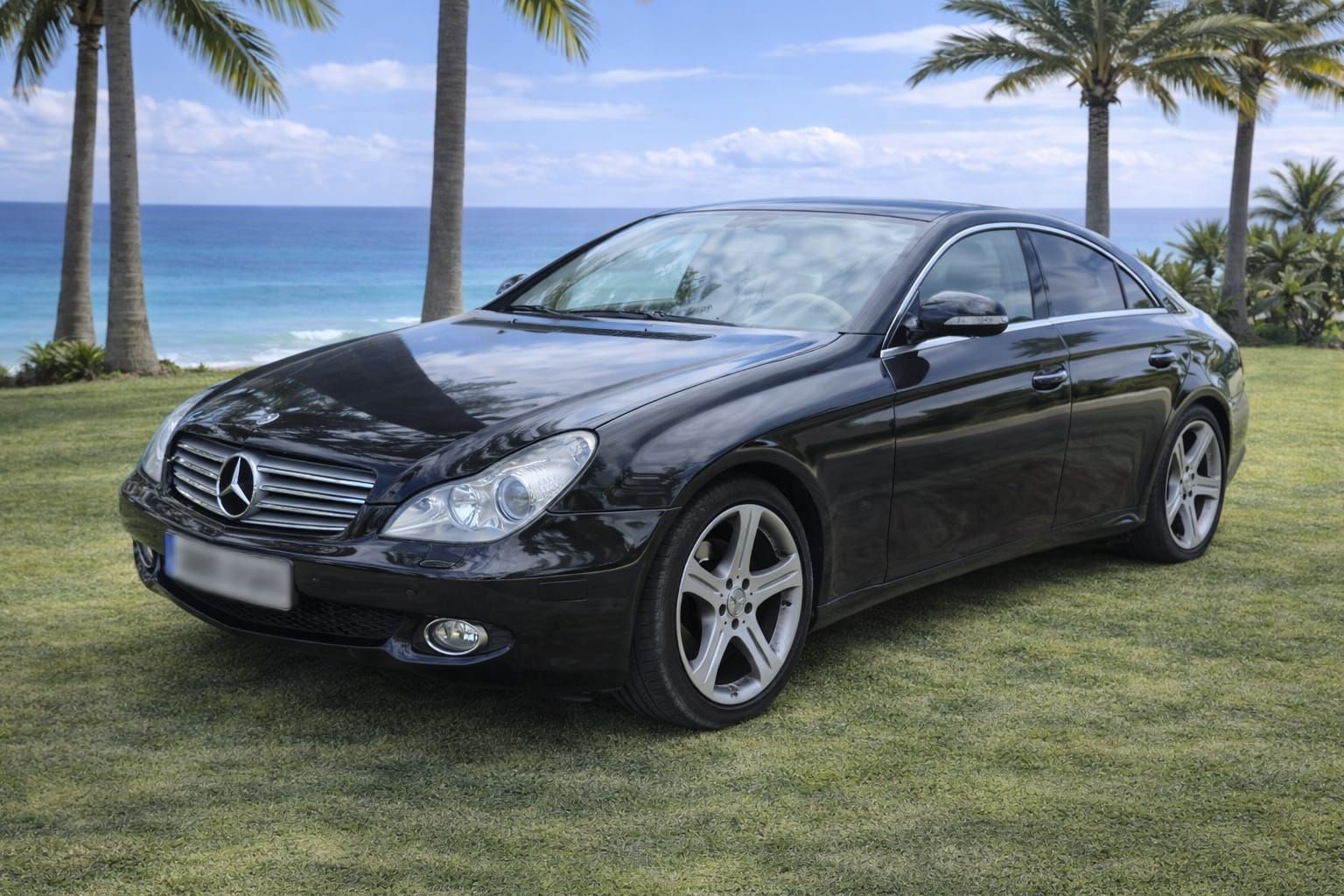 Un Mercedes-Benz Clase CLS negro estacionado en un césped con vistas al océano y palmeras al fondo.