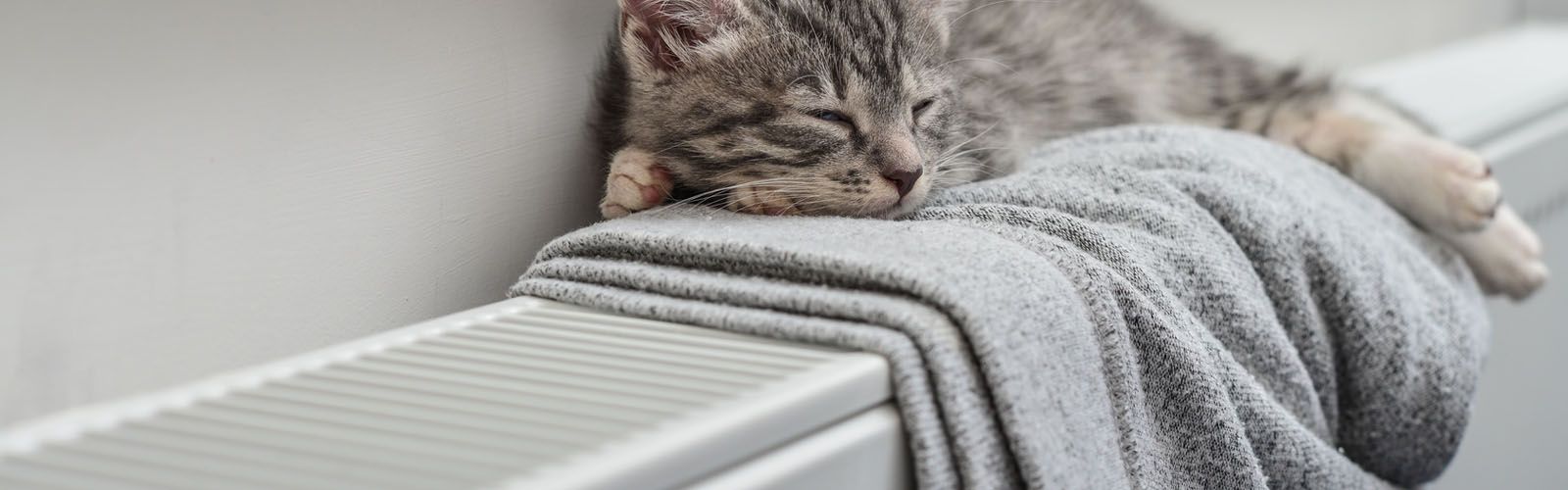 Eine grau getigerte Katze schläft friedlich auf einer grauen, gefalteten Decke auf einem Heizkörper.
