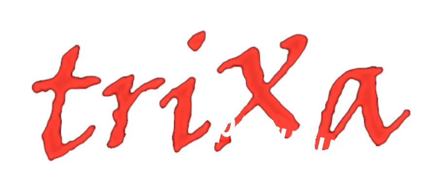 Mª JESÚS BERMÚDEZ ESCRIBANO