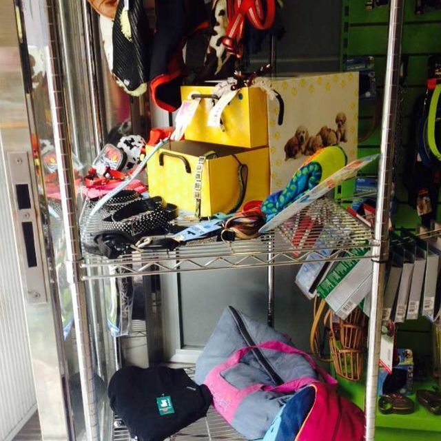 Una vitrina llena de una variedad de artículos para perros.