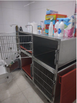 Un perro y dos gatos están acostados uno al lado del otro en el suelo.