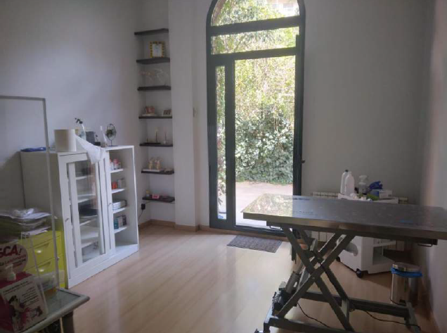 Un perro está tumbado en el césped de un campo.