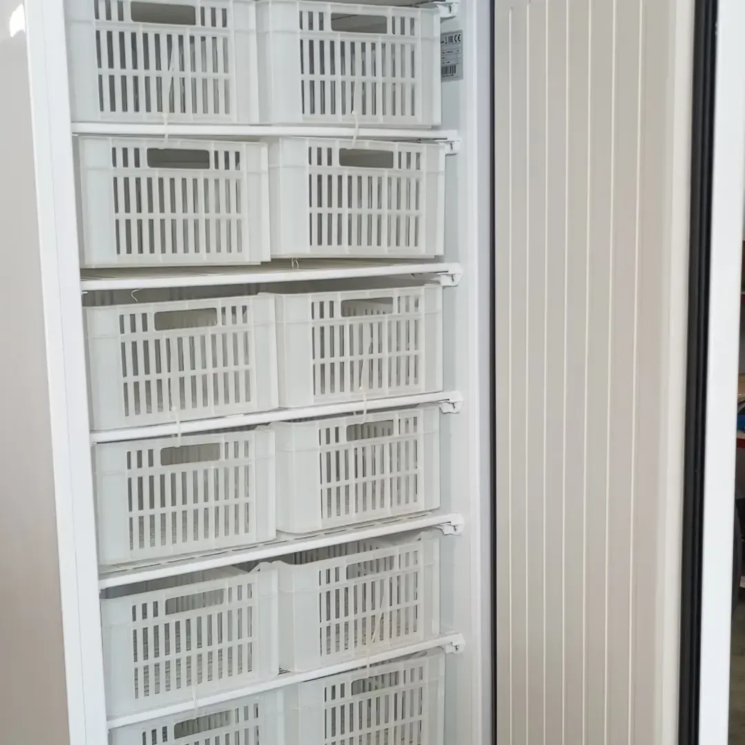 ARMARIO CONGELADOR 13