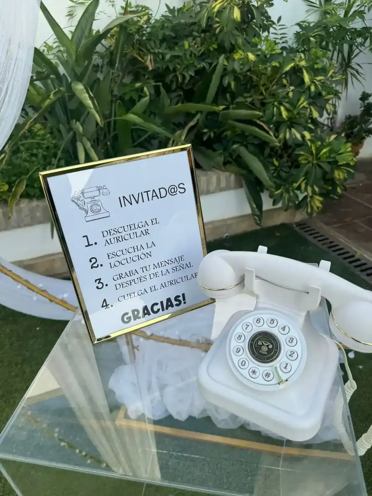 Un teléfono blanco de disco sobre una mesa de cristal, junto a un cartel de invitación enmarcado y plantas.