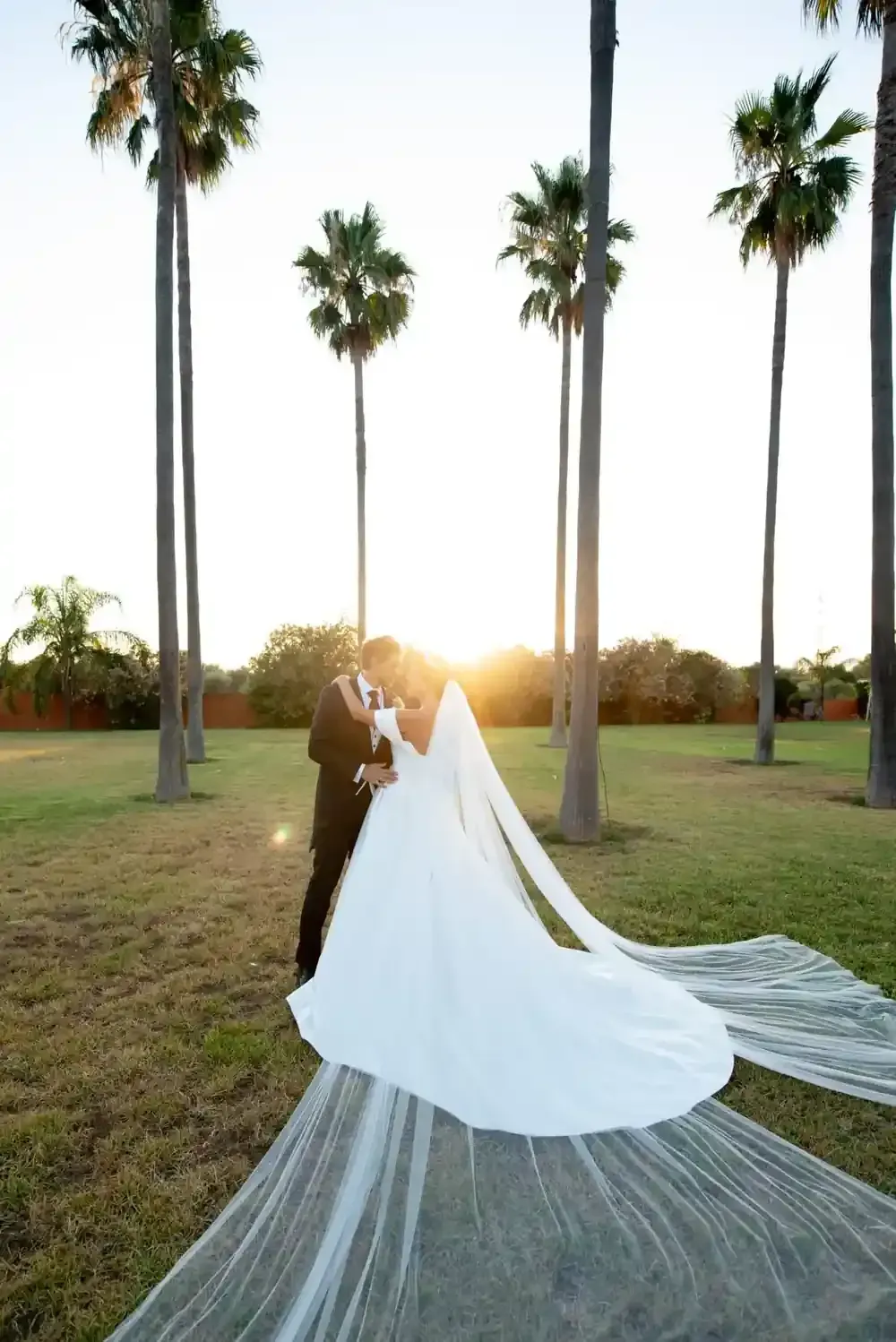 Los novios en un campo soleado con altas palmeras, con el largo velo de la novia ondeando tras ellos.