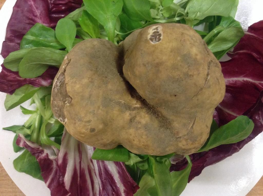 Weisser Trüffel - Ristorante Casa Ferlin -. Zürich