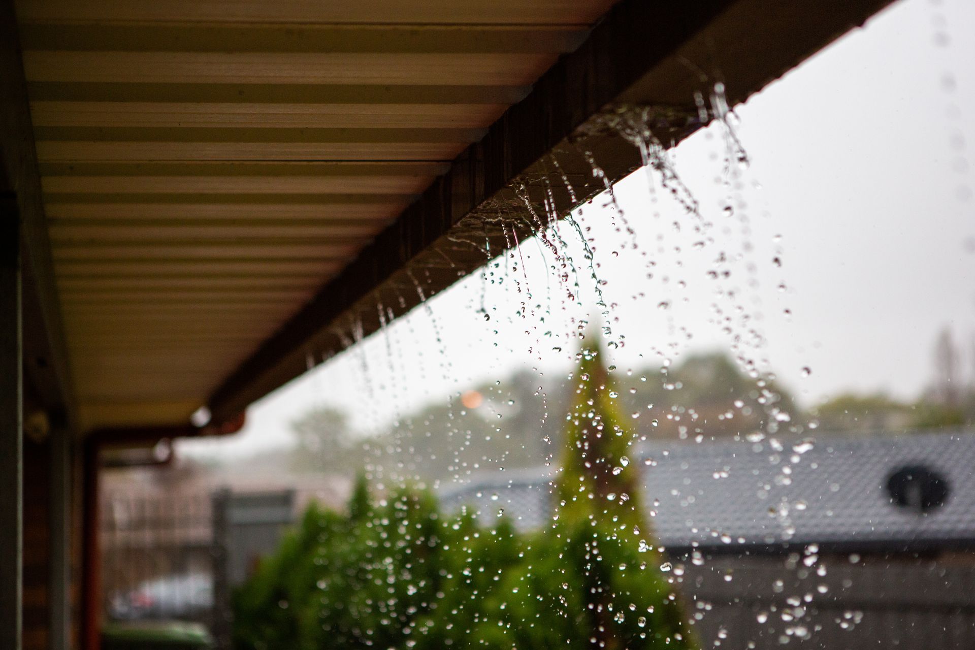 Gouttière sous la pluie