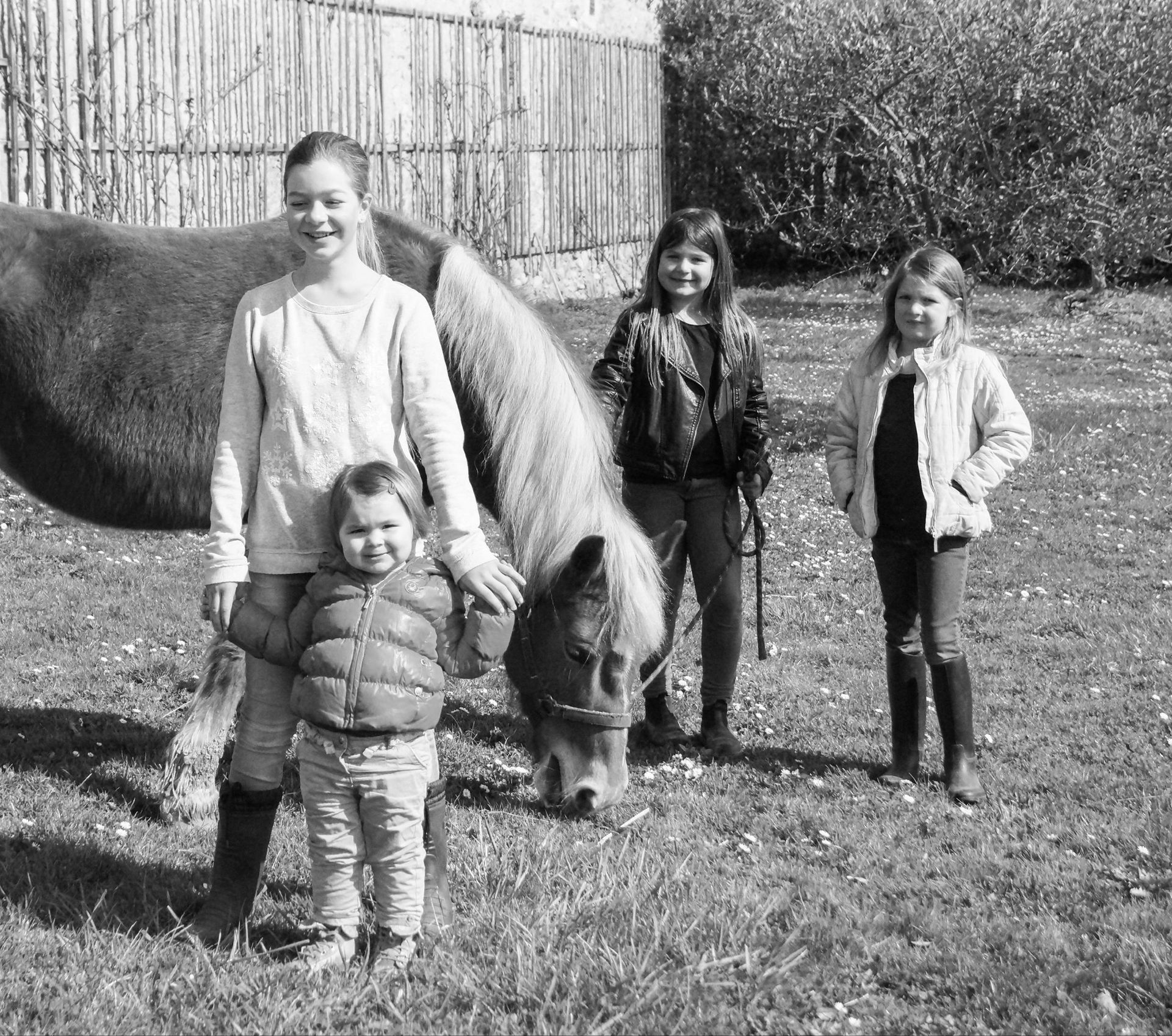 domaine de la vigne blanche - genève - chasselas