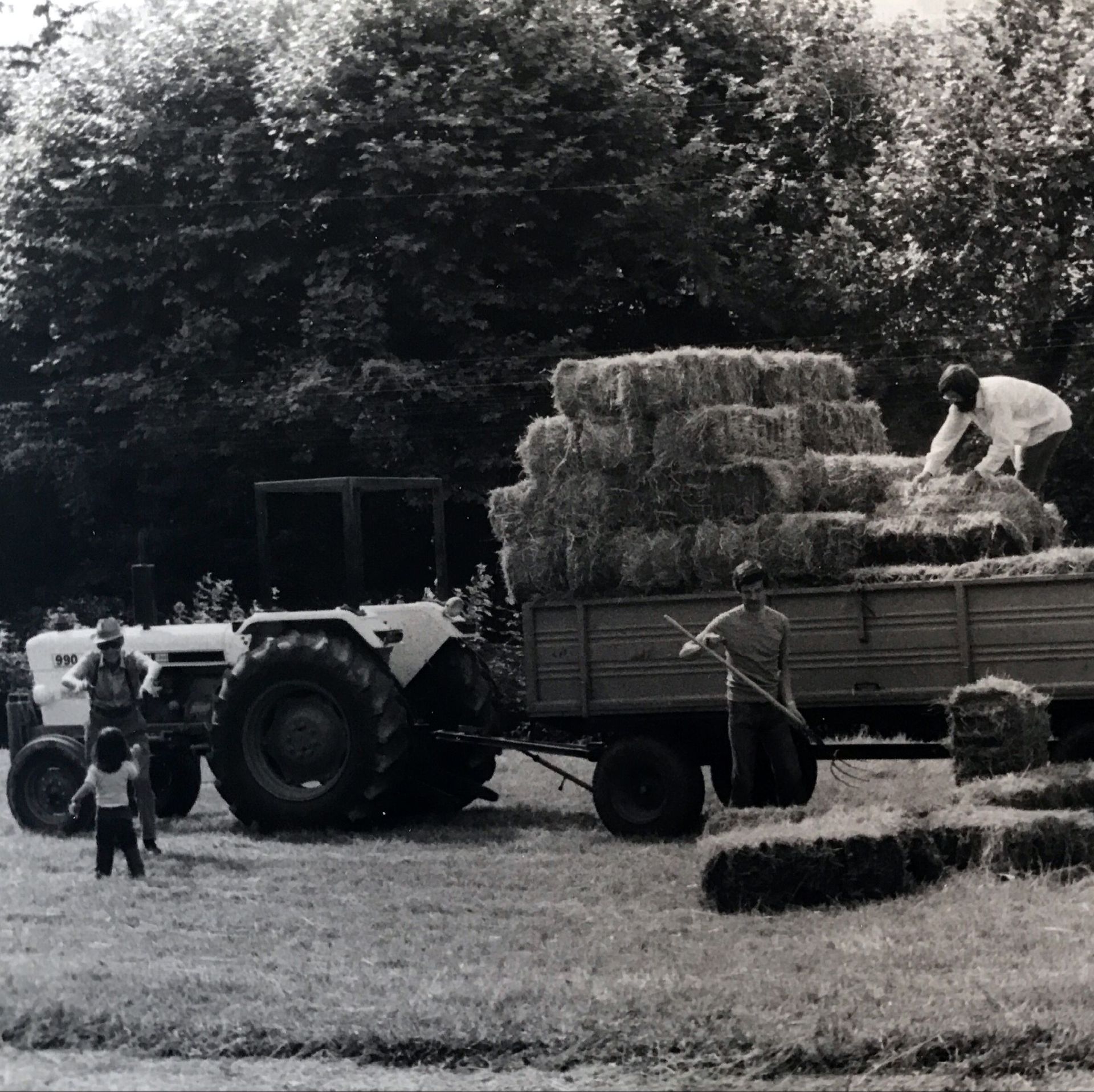domaine de la vigne blanche - genève - agricole