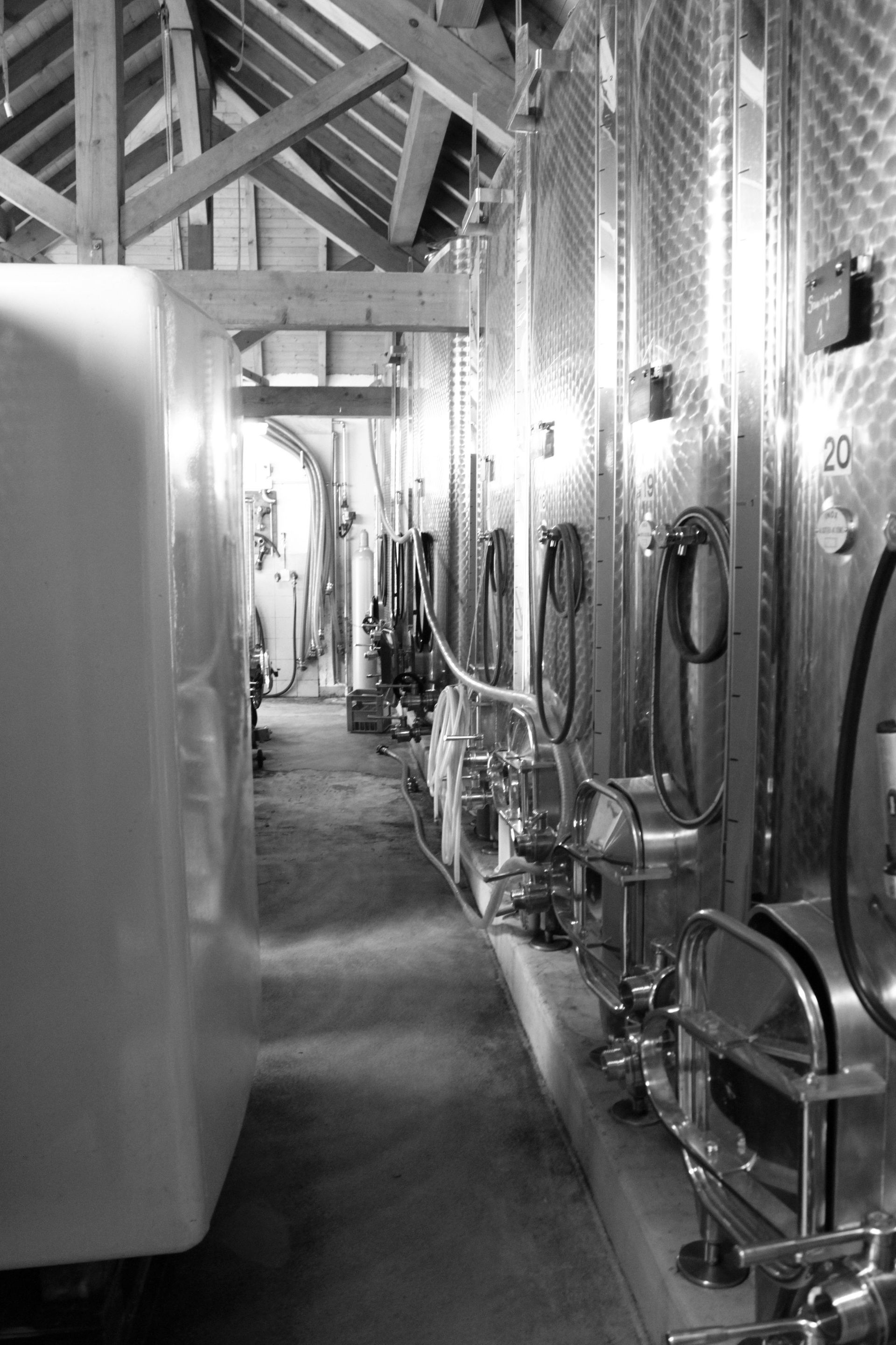 Domaine de la Vigne Blanche