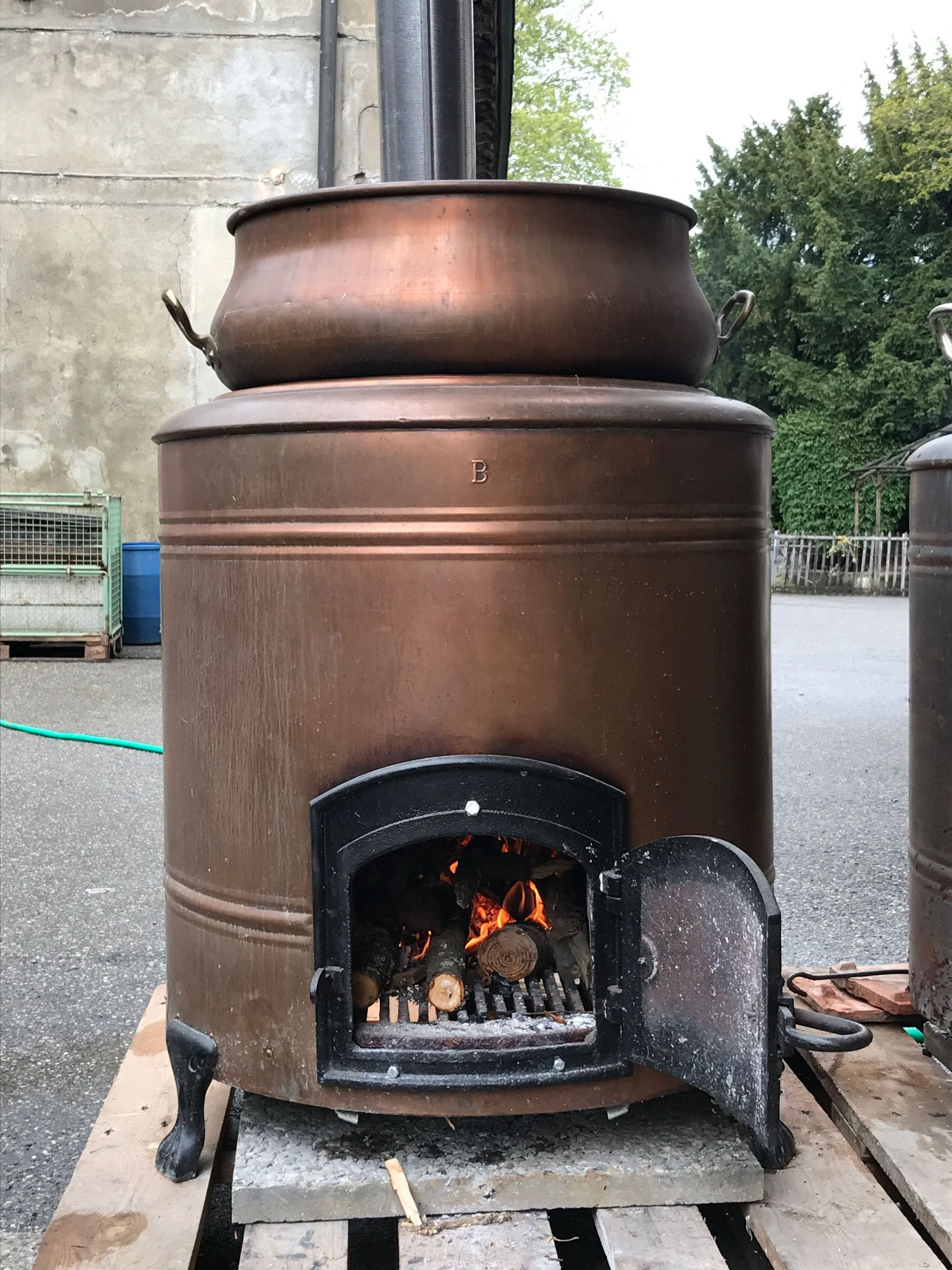 domaine de la vigne blanche - genève - pinot blanc