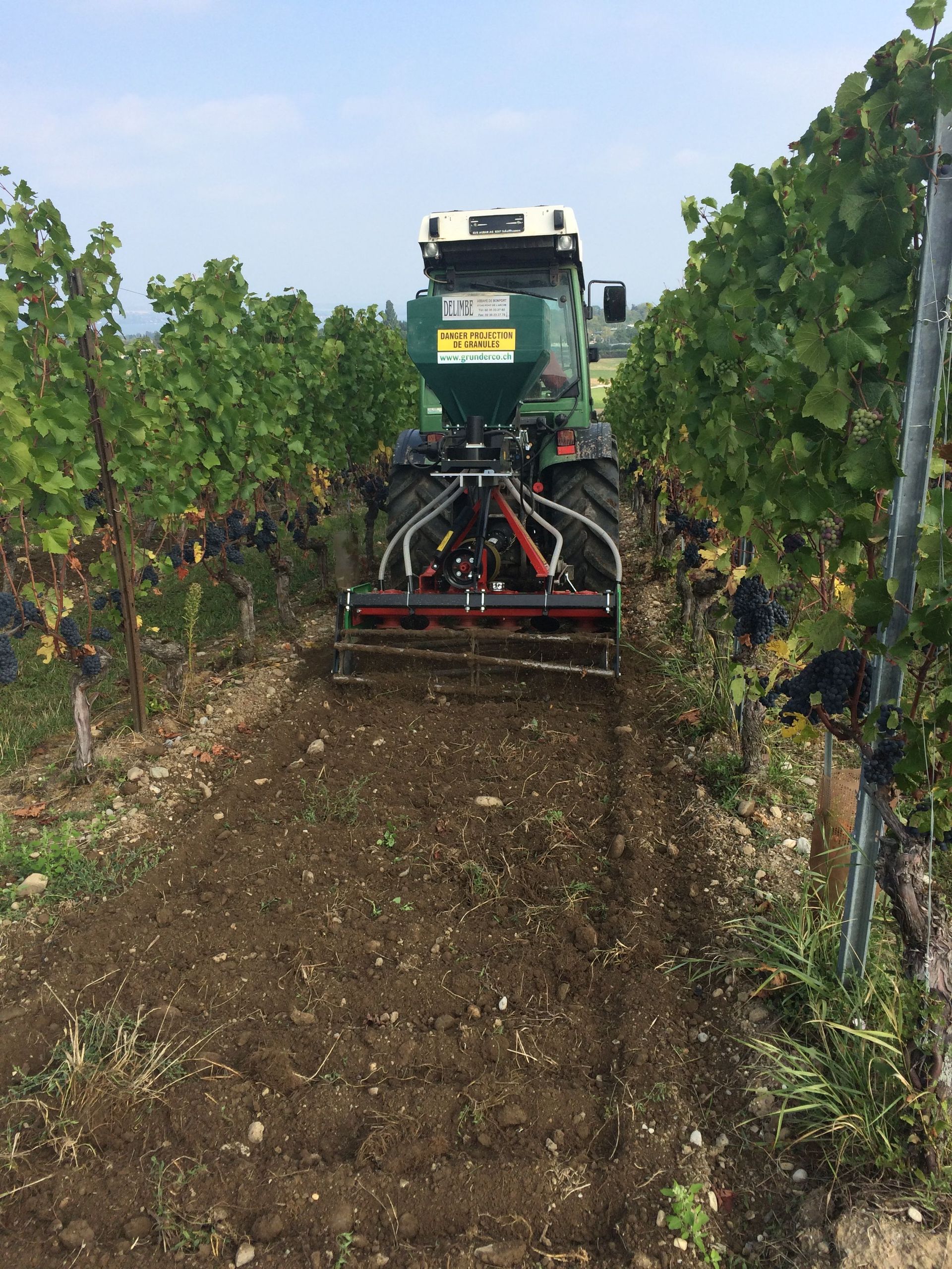 domaine de la vigne blanche - genève - aligoté