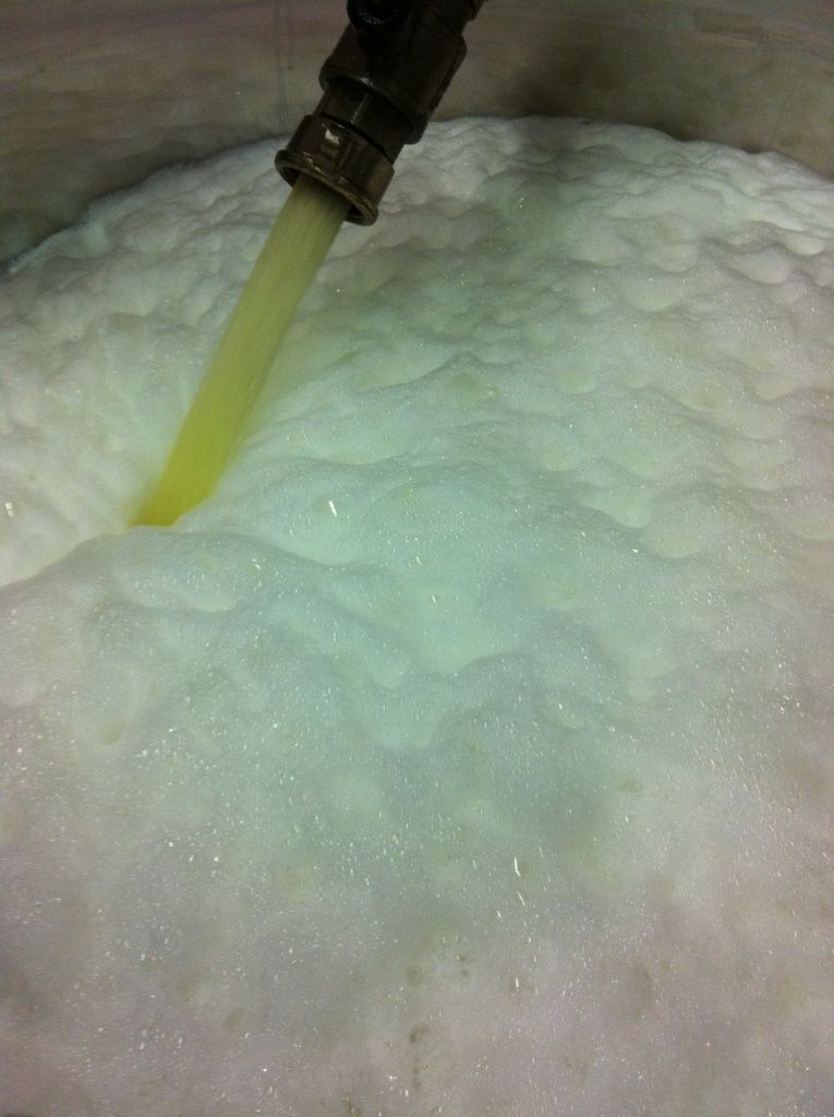 Domaine de la vigne blanche - transvasage