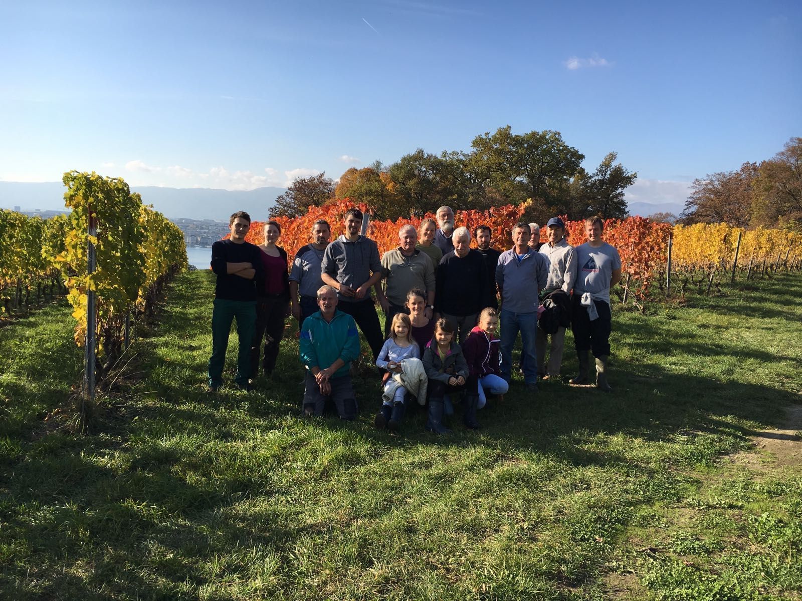 Domaine de la vigne blanche - vendangeurs