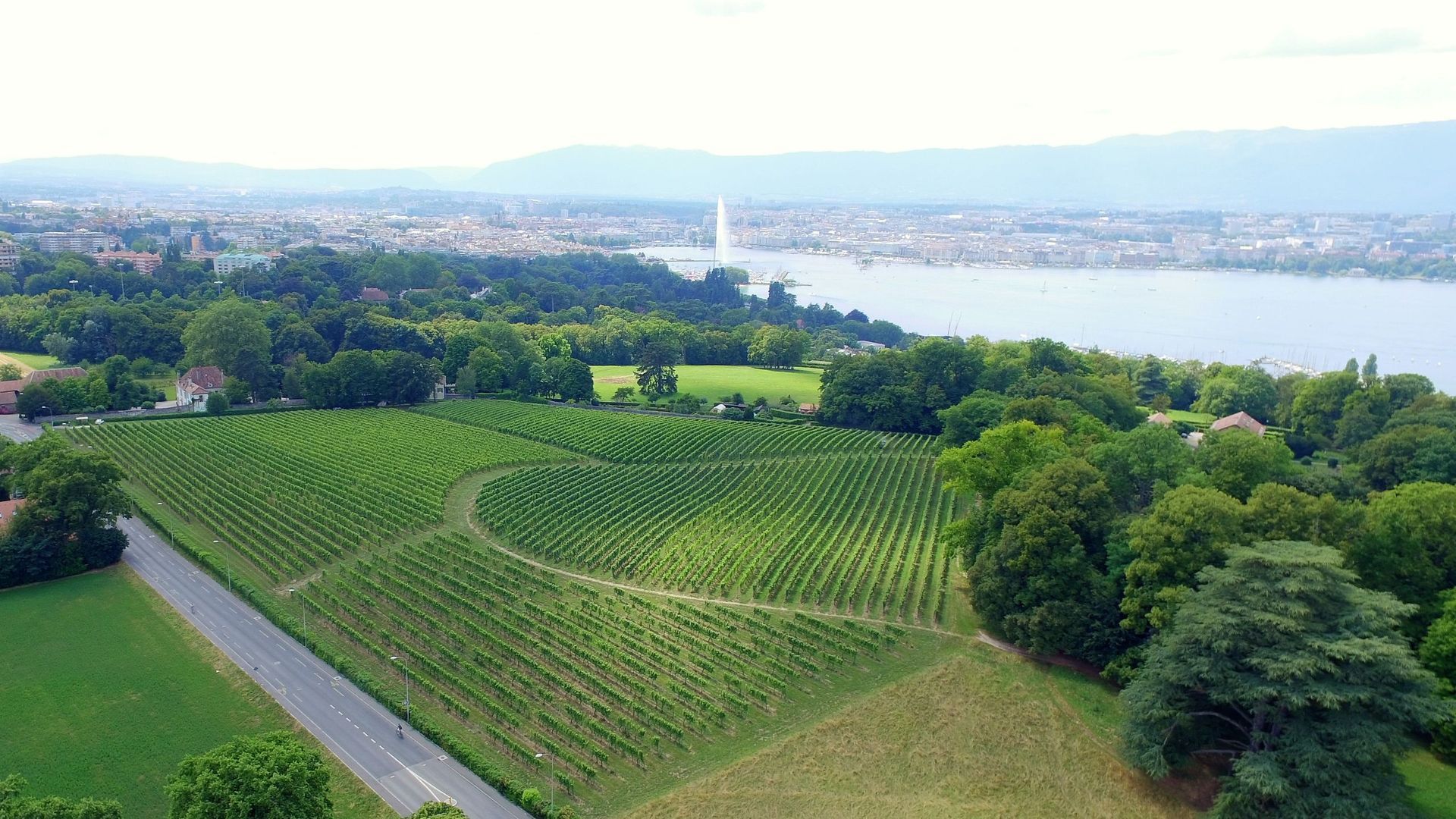Domaine de la vigne blanche - vue aérienne