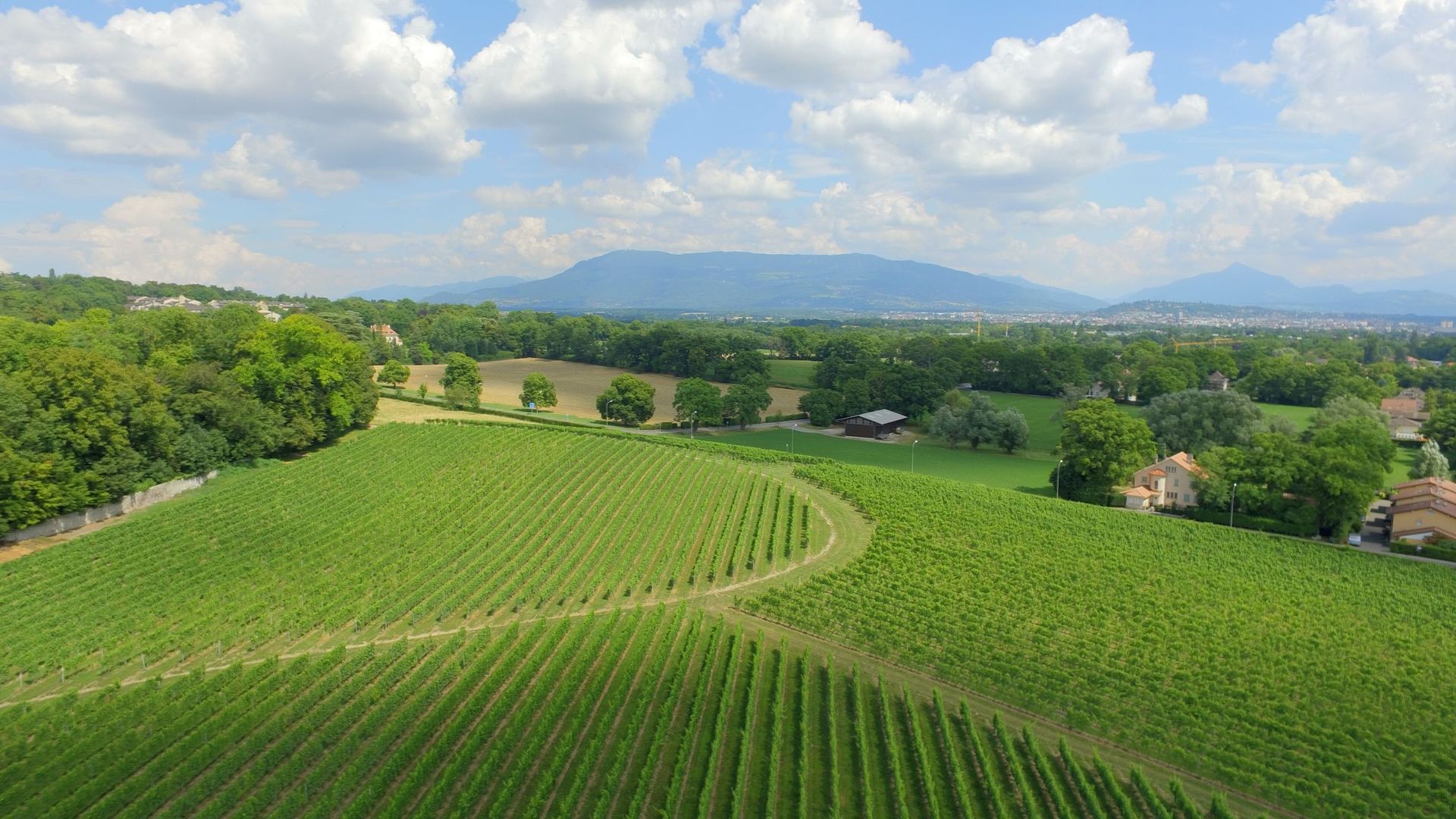 Domaine de la vigne blanche - rade