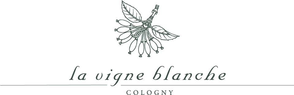 domaine de la vigne blanche - genève - mousseux